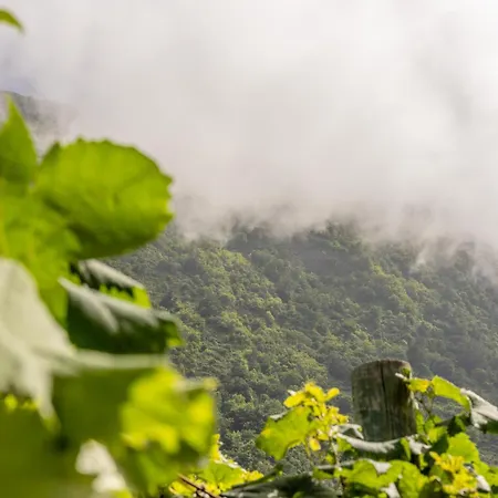 Coastal Mountain & Sea View Hideaway With Free Parking São Vicente
