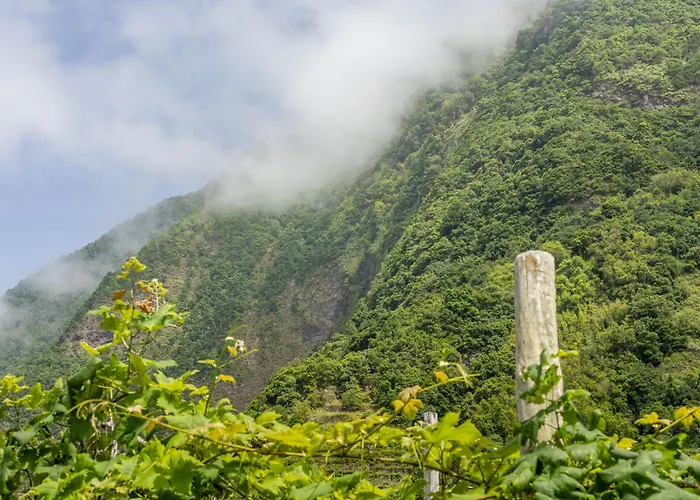 Daire Coastal Mountain & Sea View Hideaway With Free Parking *